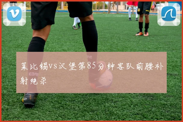 莱比锡vs汉堡第85分钟客队前腰补射绝杀
